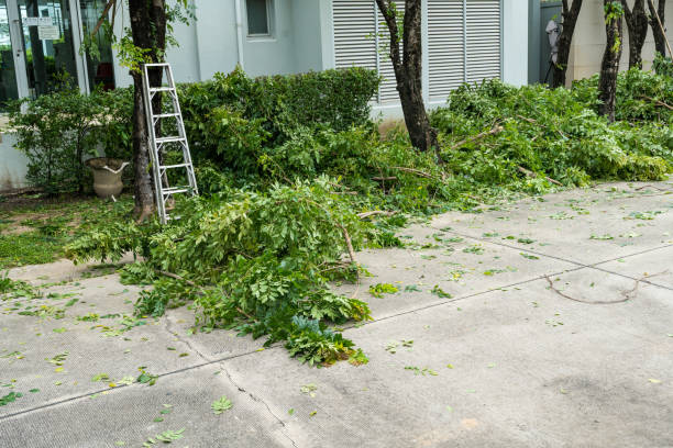 How Our Tree Care Process Works  in  Green Oaks, IL